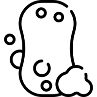 eponge