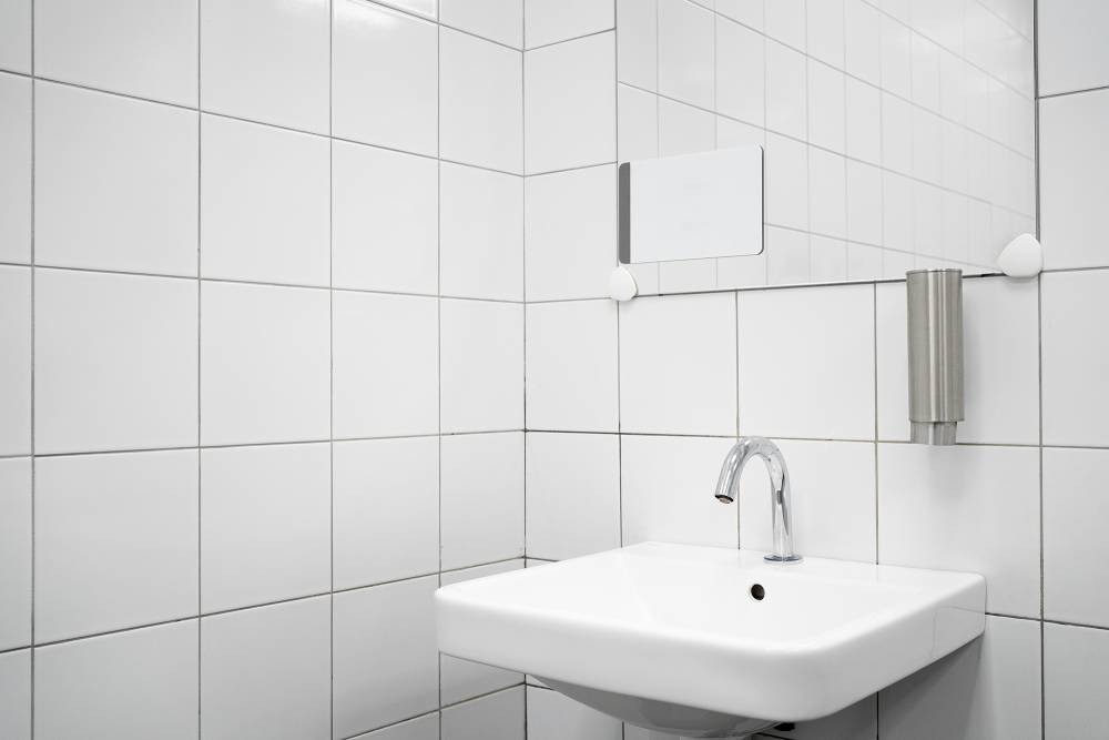Sanitaire près de Boisseuil